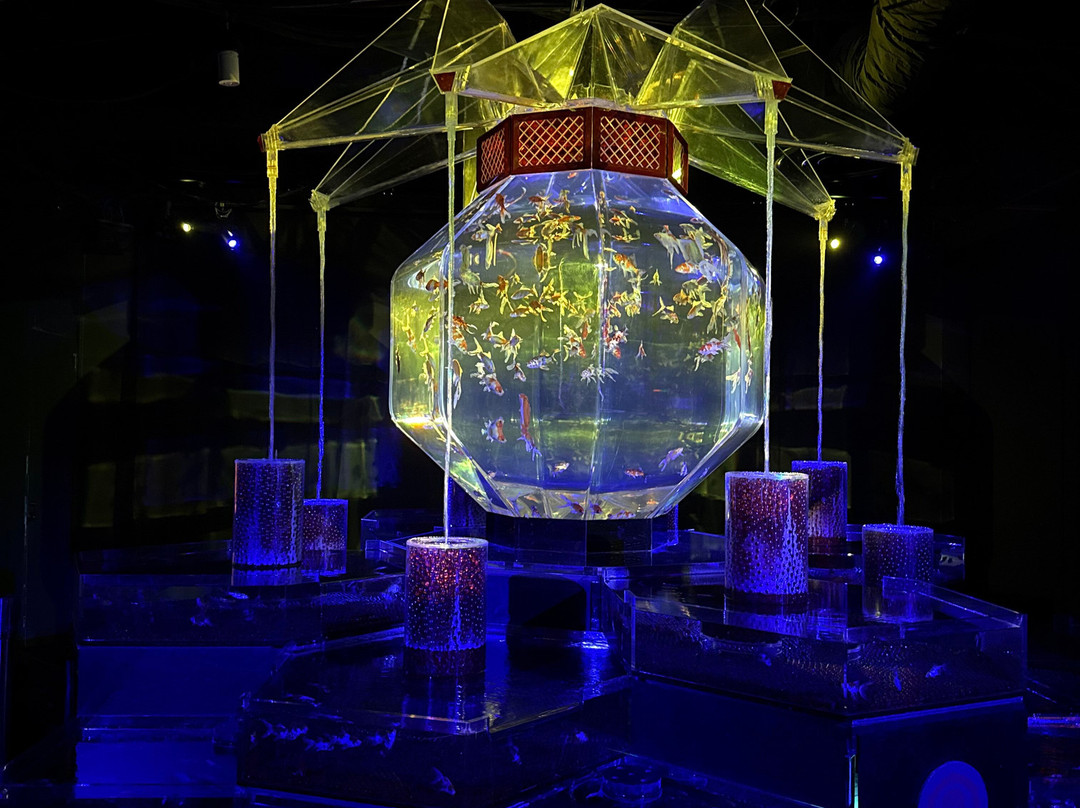 Art Aquarium-Ginza必去景点