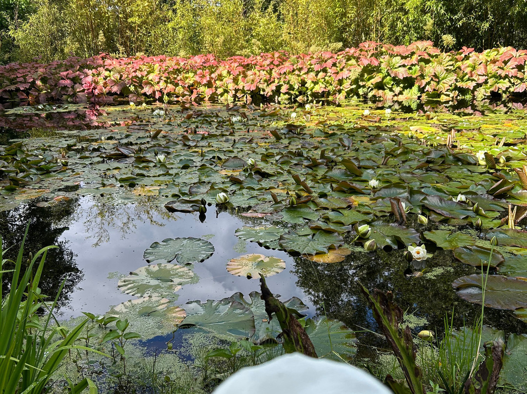 Inverewe Garden-Poolewe必去景点