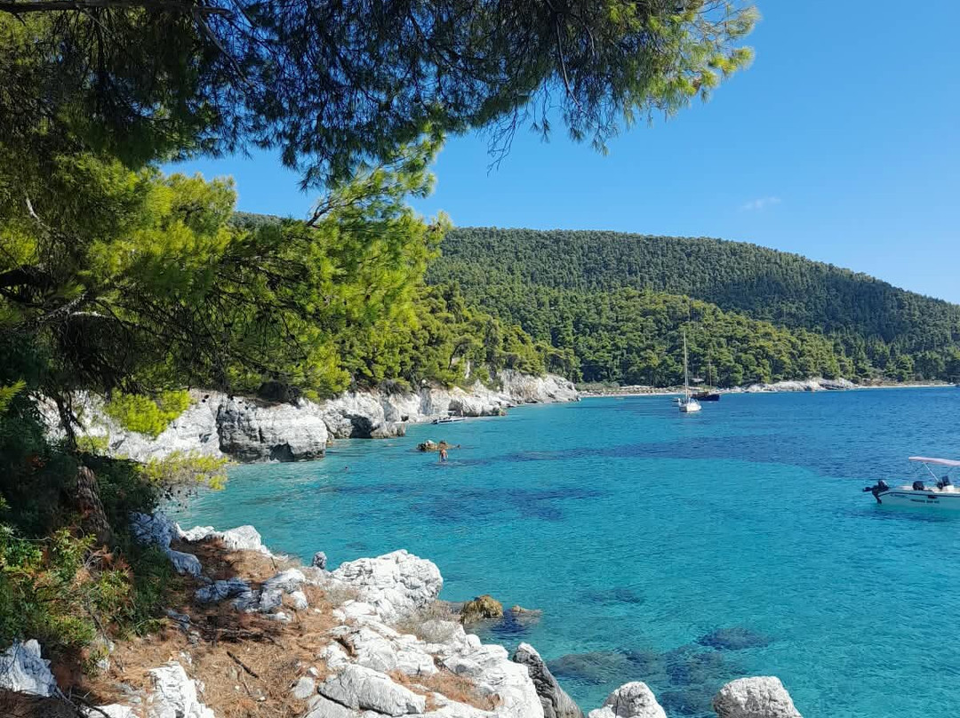 Ftelia Beach-Skopelos Town必去景点