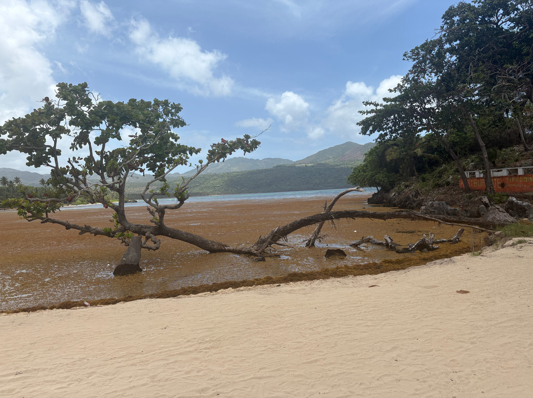 Playa Rincon-萨马纳半岛必去景点