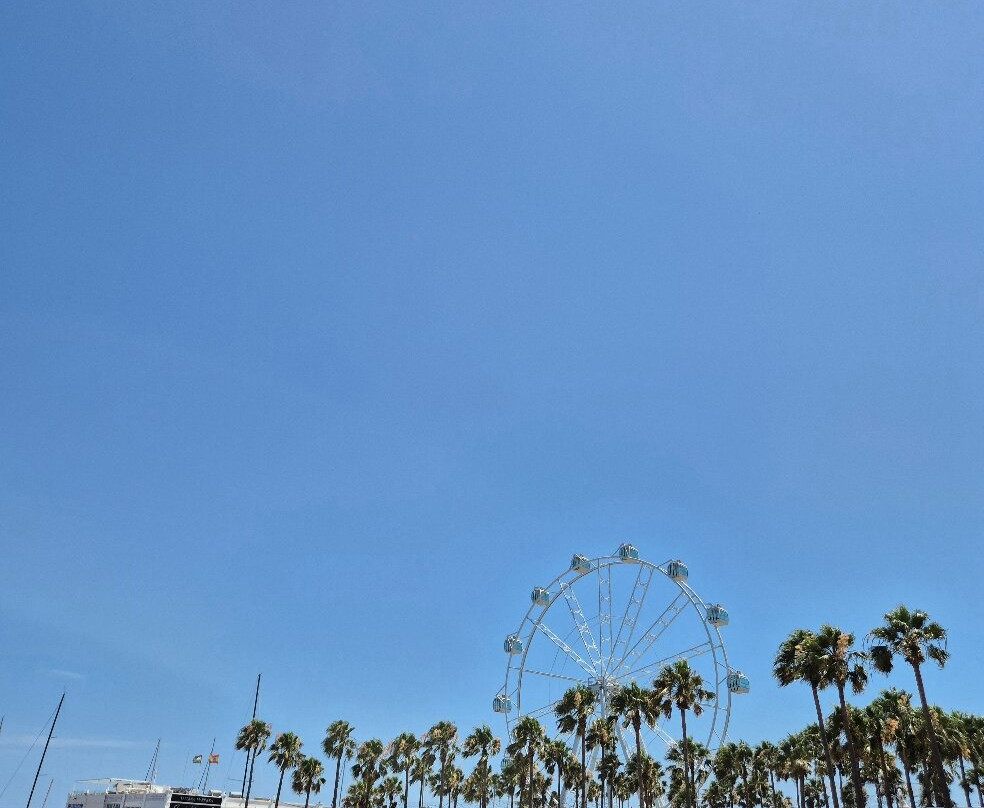 Princess Ferris Wheel-班纳玛德纳必去景点