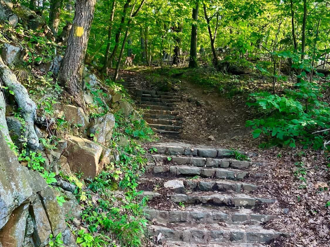 East Rock Park-纽黑文必去景点