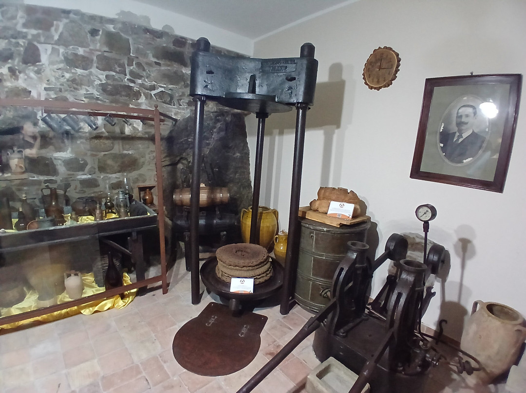 Amoreolio Museo dell'olio di Colobraro-Colobraro必去景点