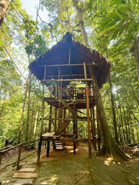 Canopy Walkway-伊基托斯必去景点