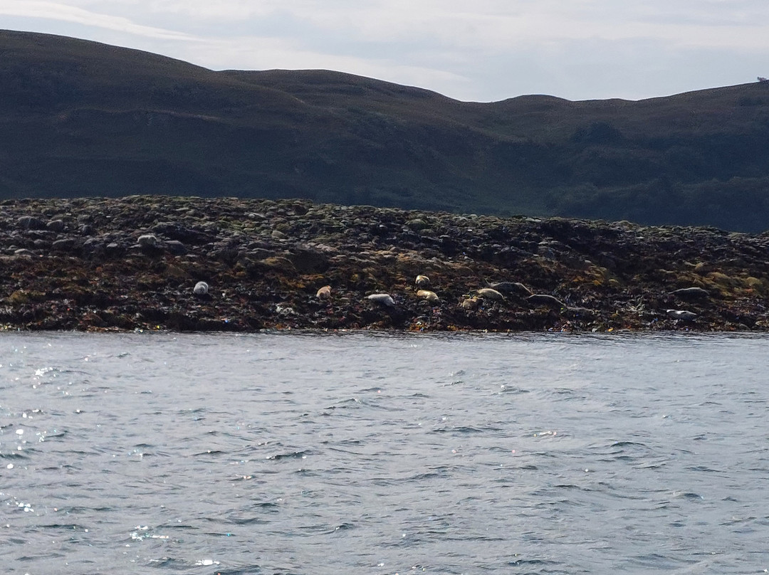 Argyll-Sea Tours-奥本必去景点