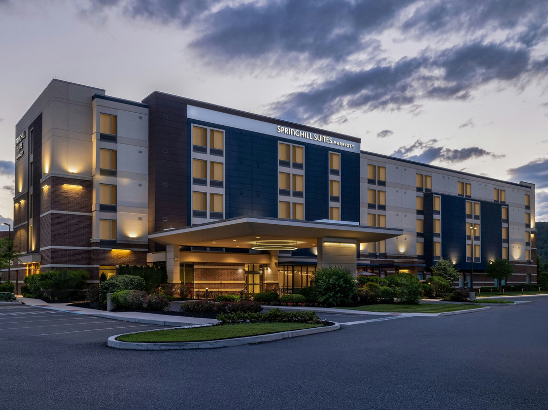 Emmaus酒店住宿-SpringHill Suites by Marriott Allentown Bethlehem/Center Valley