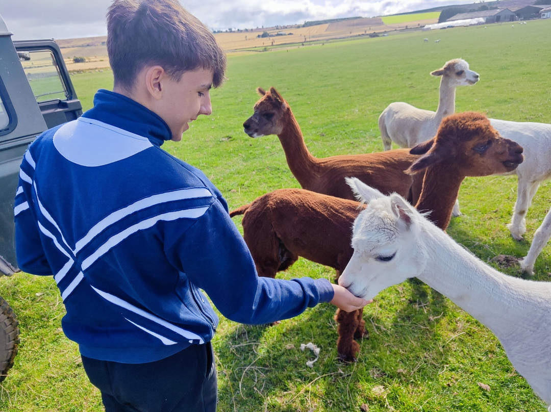 Newton Farm Holidays & Tours主图