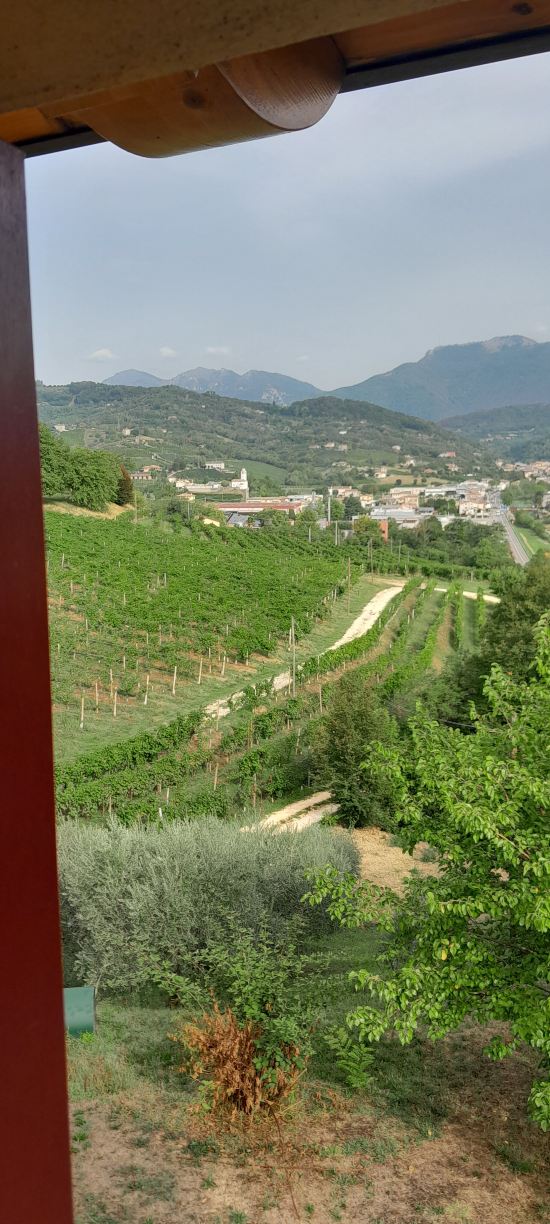 Lemire Azienda Agricola-旅行者