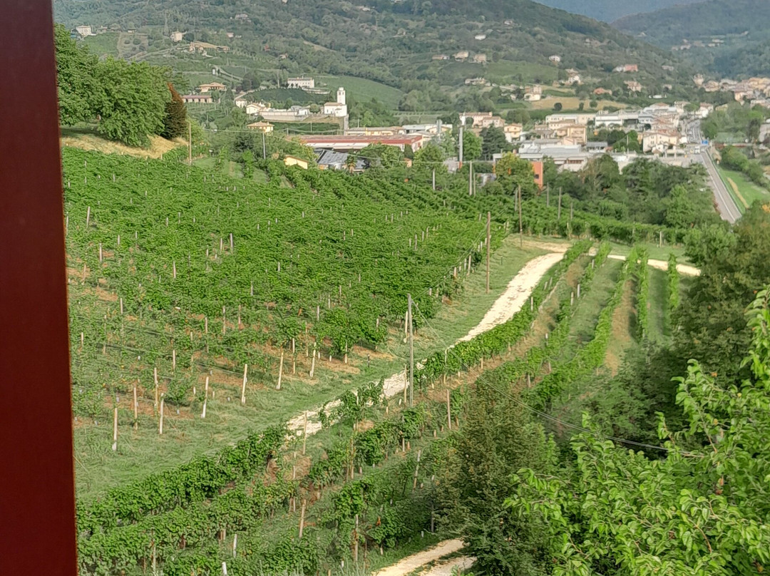 Lemire Azienda Agricola主图
