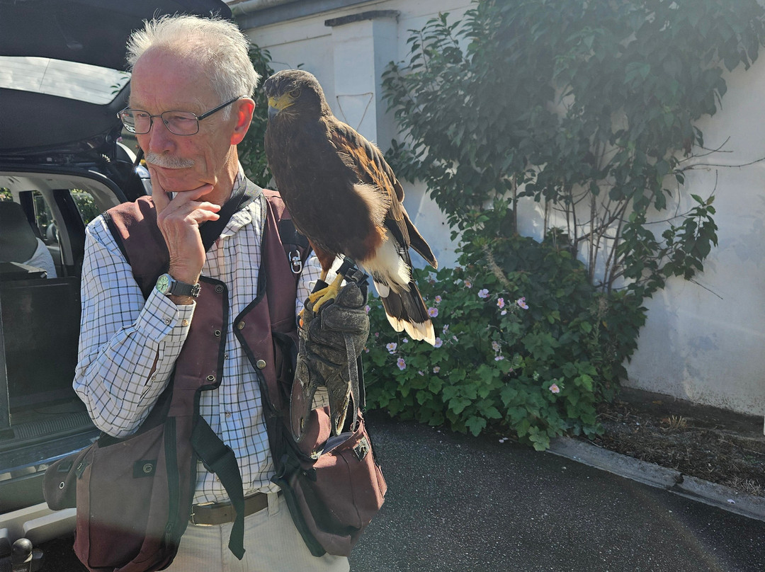 North Devon Hawk Walks-South Molton必去景点