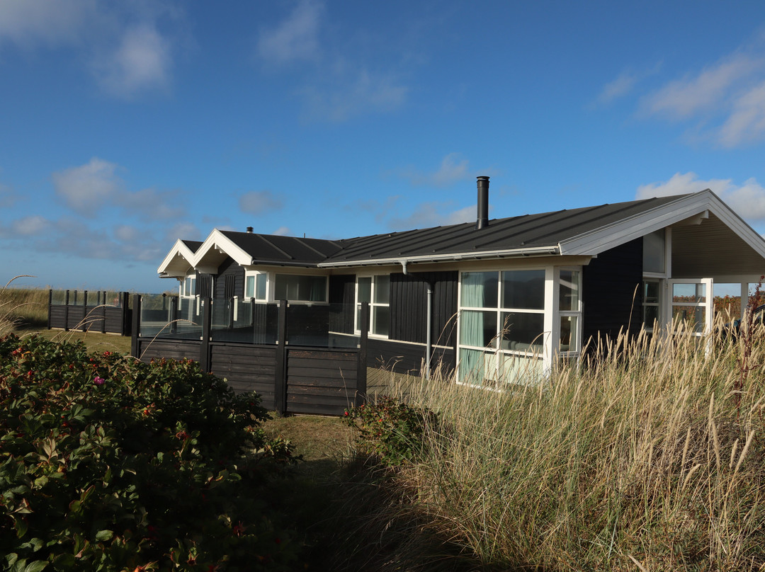 Skallerup Seaside Resort主图