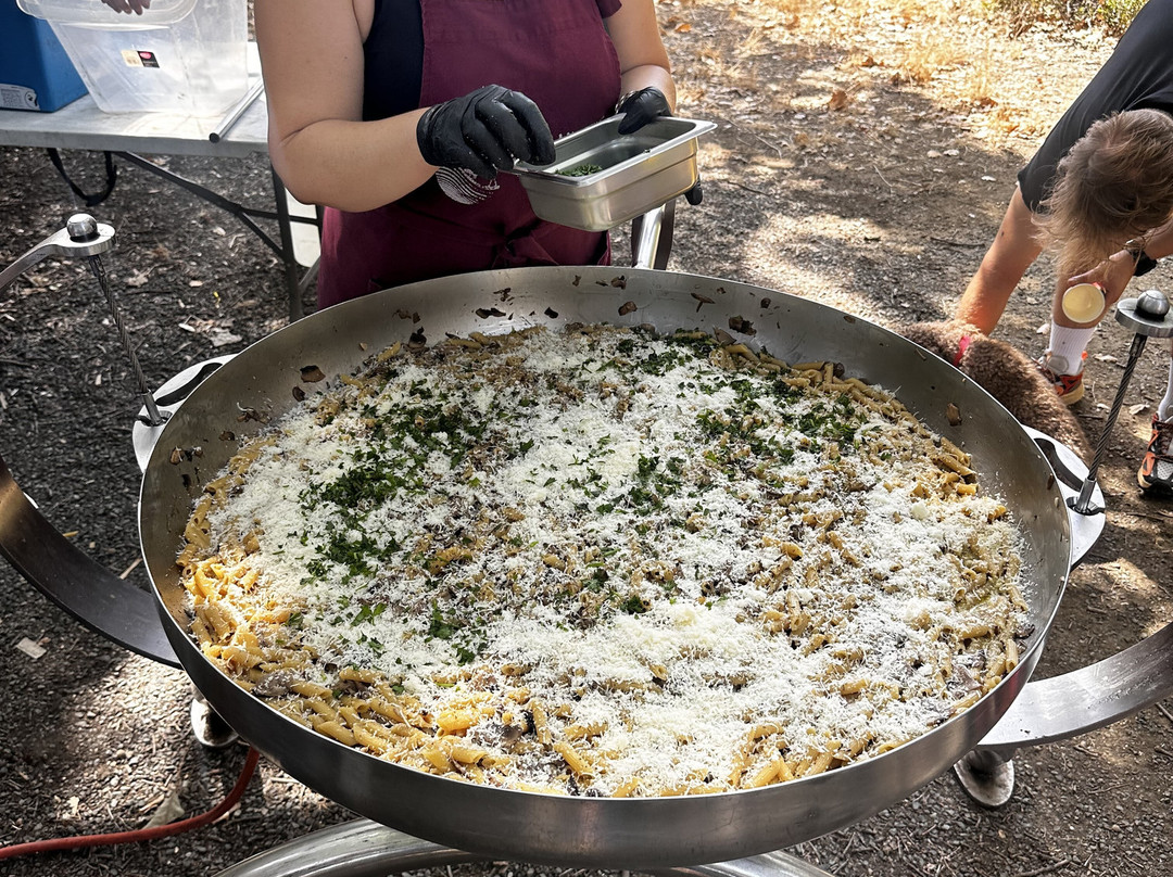 Truffle Hunting-卡兰巴卡必去景点