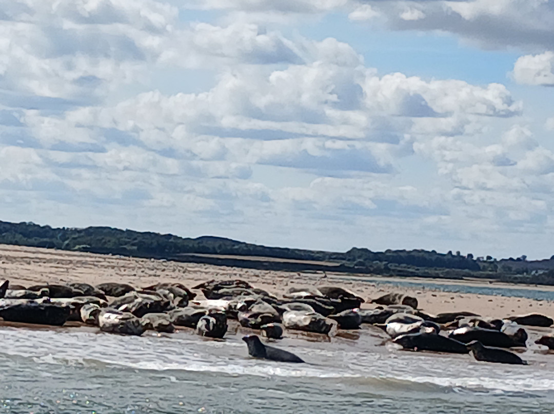 Temples Seal Trips & Blakeney Point-Morston必去景点