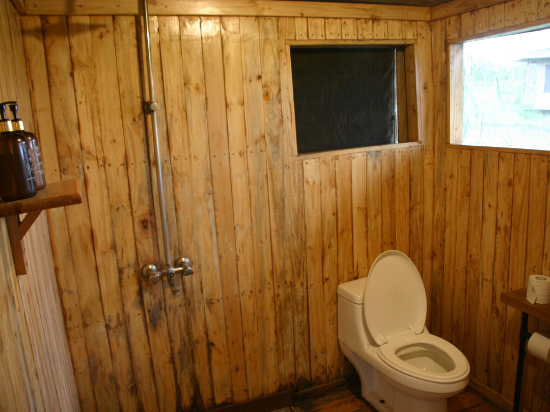 包巴山林小屋主图