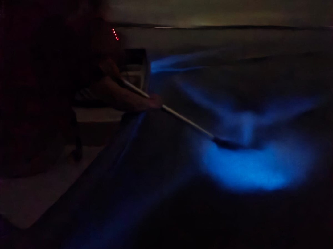 Eddy’s Bioluminescent Reserve-Paquera必去景点