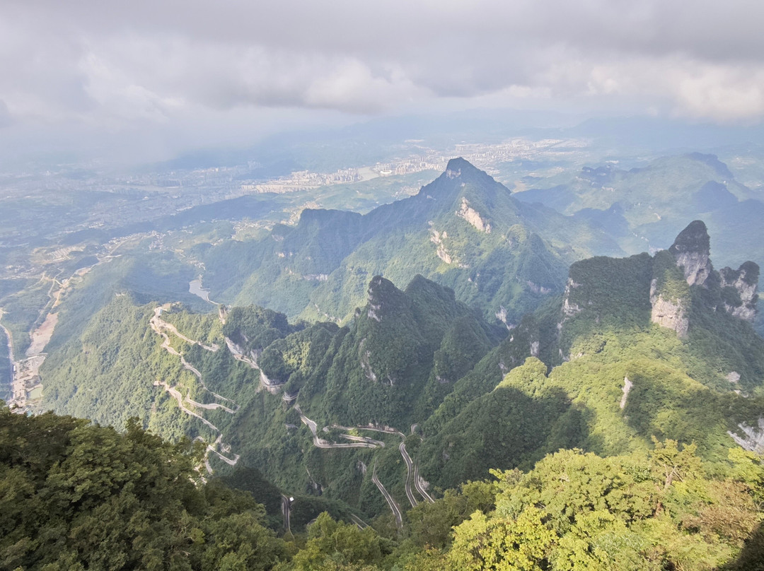 China Discovery-成都必去景点