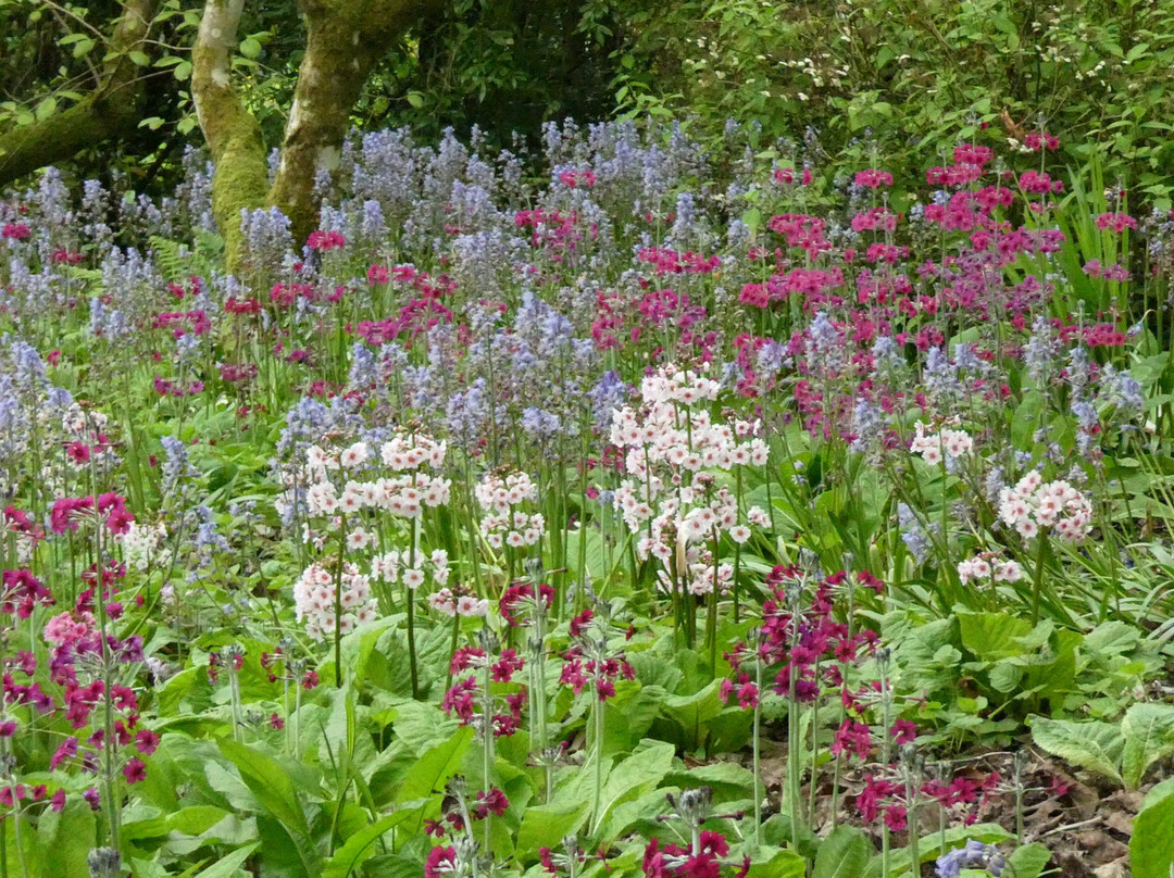 Mount Congreve Gardens-County Waterford必去景点