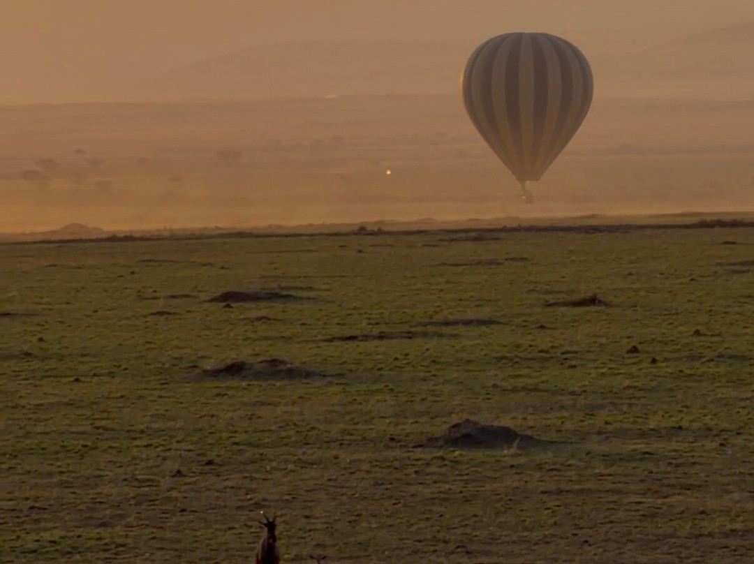Hot Air Safaris-马赛马拉国家野生动物保护区必去景点