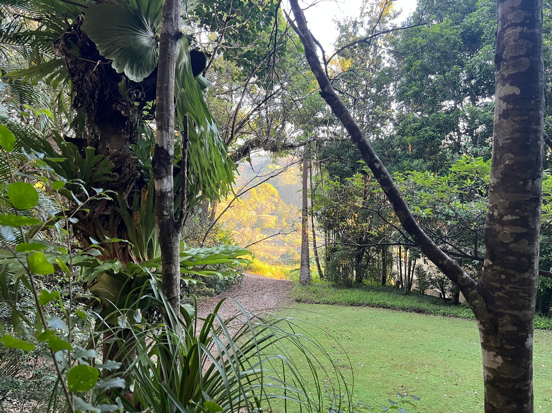 蒙特维尔瀑布山林小屋主图