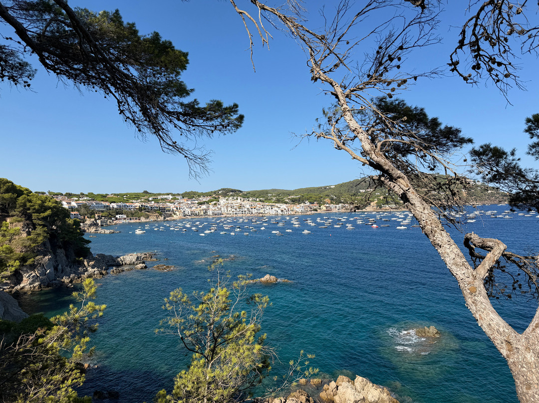Creative Catalonia - Bike Holidays Girona Spain-赫罗那必去景点