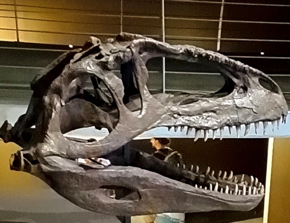 Museo del Jurásico de Asturias-Colunga必去景点