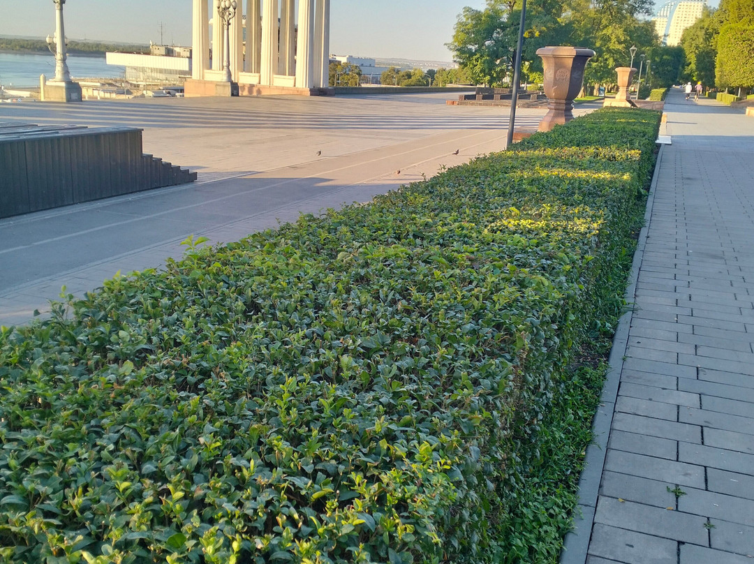 Central embankment of Volgograd-伏尔加格勒必去景点