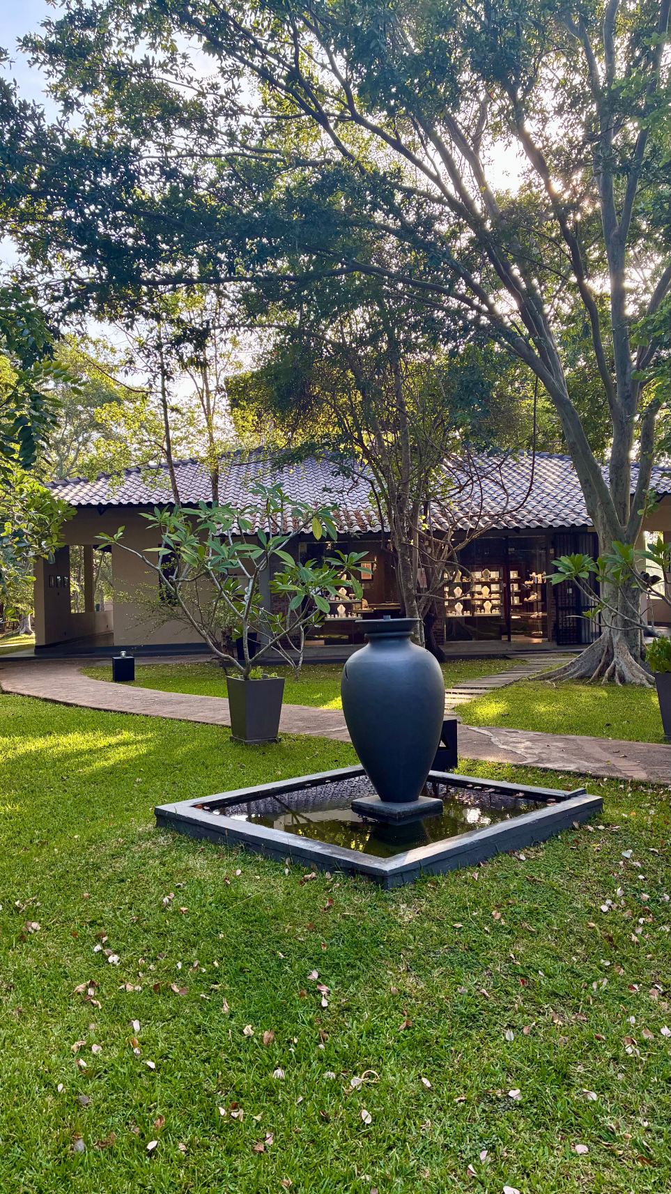 迦叶狮子岩酒店-旅行者