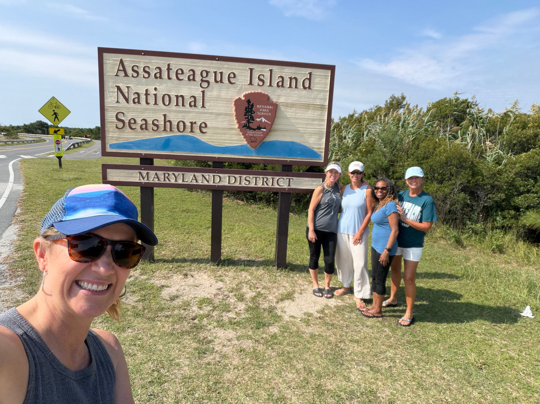 Assateague Island National Seashore-Assateague Island必去景点
