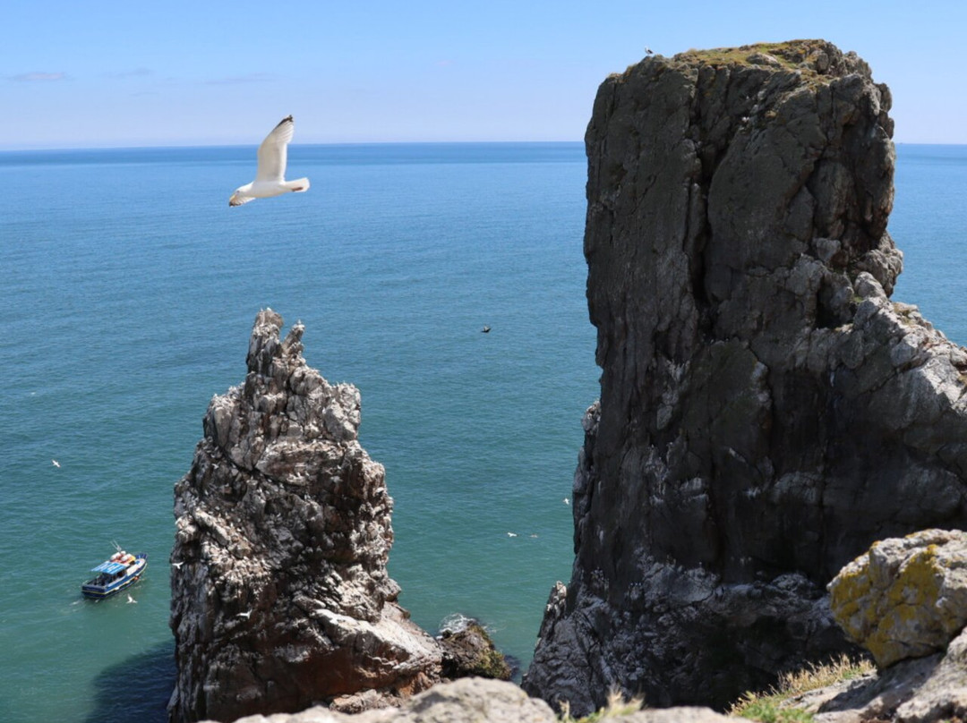 Howth Cliff Cruises-霍斯必去景点