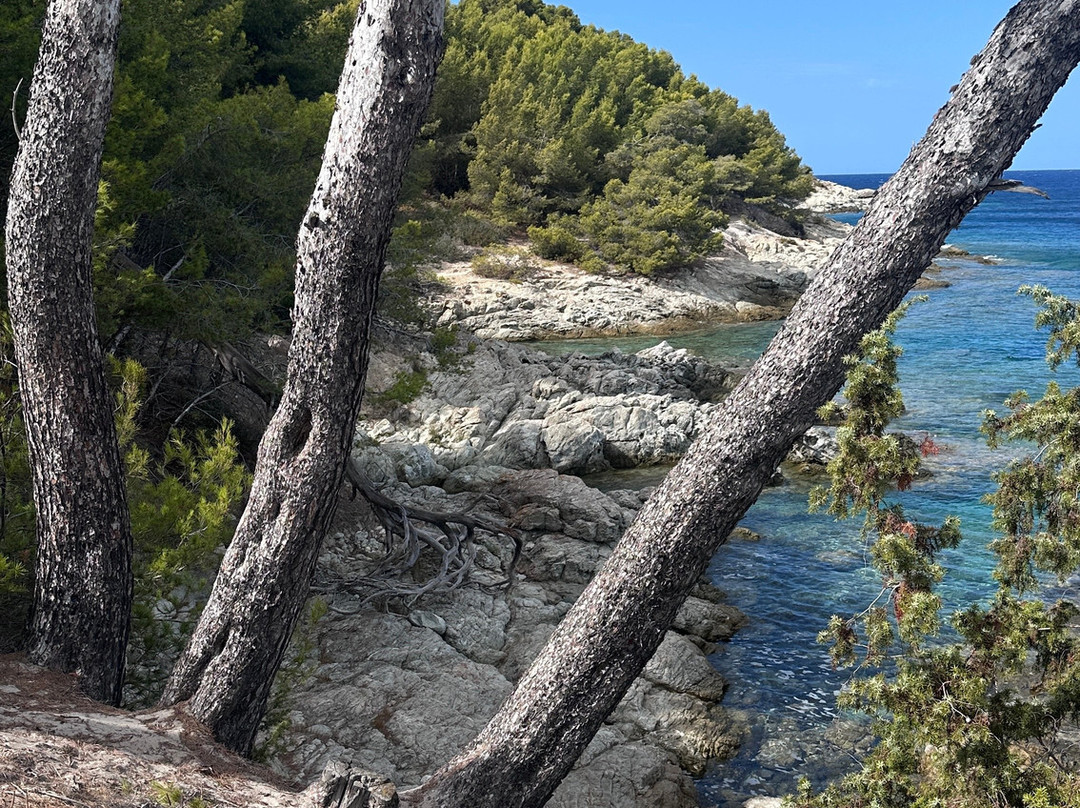 Saleccia Off Road-Saint Florent必去景点