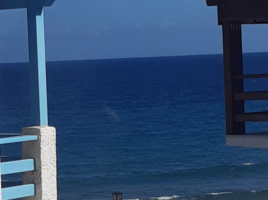 Hotel Cala Arena
