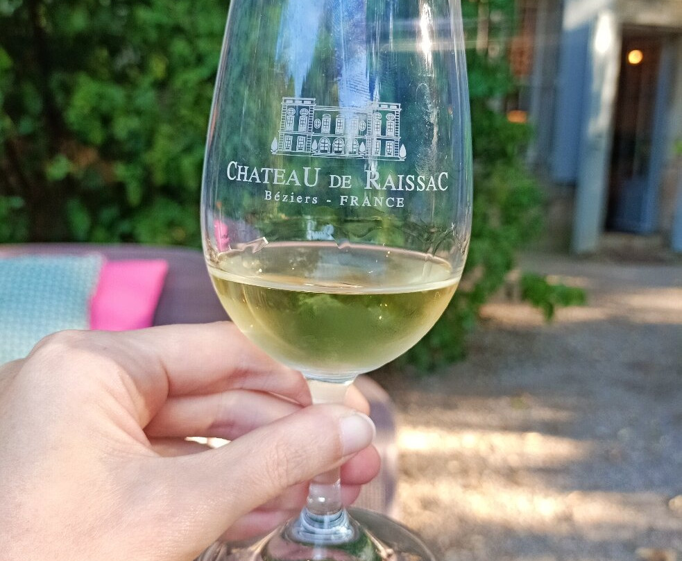 德赖萨克城堡酒店主图