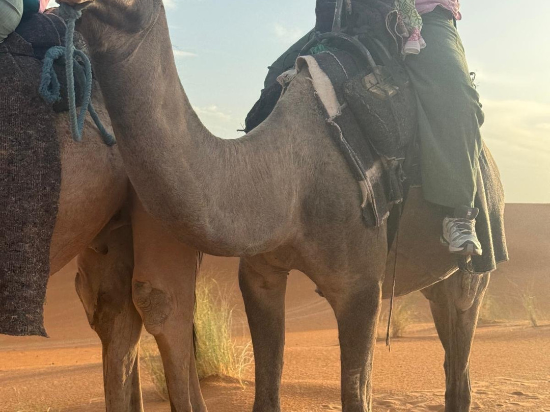 Sunshine Morocco Tours-马拉喀什必去景点