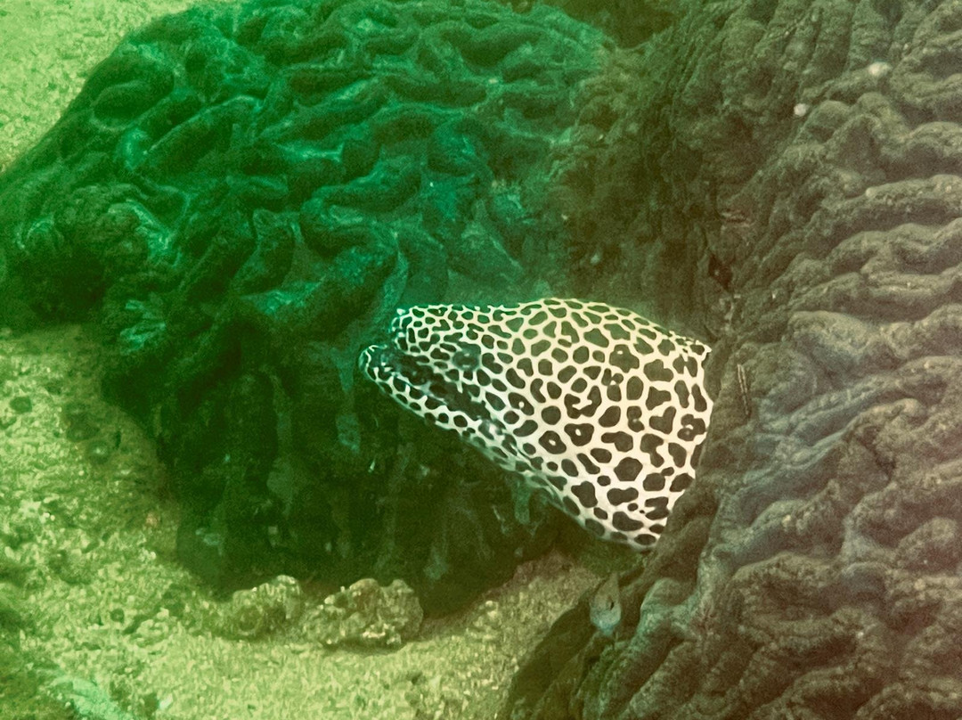 Extra Divers Sifah-As Sifah必去景点