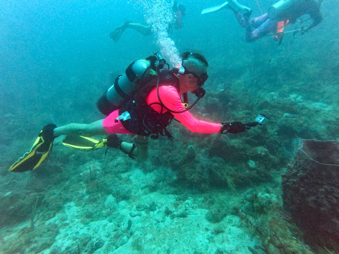 Conch Republic Divers-Tavernier必去景点