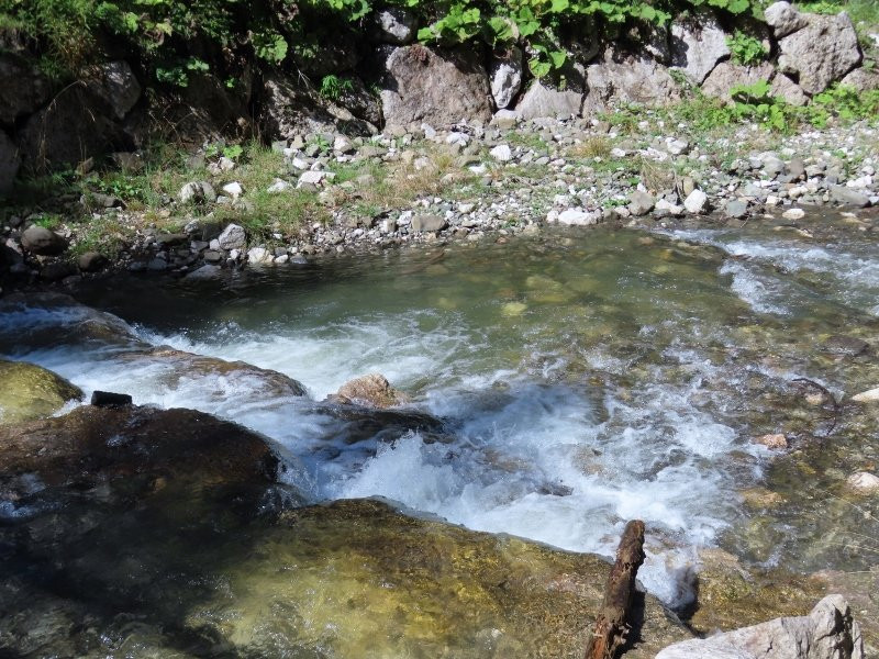 Torrente Fiorentina-Selva di Cadore必去景点