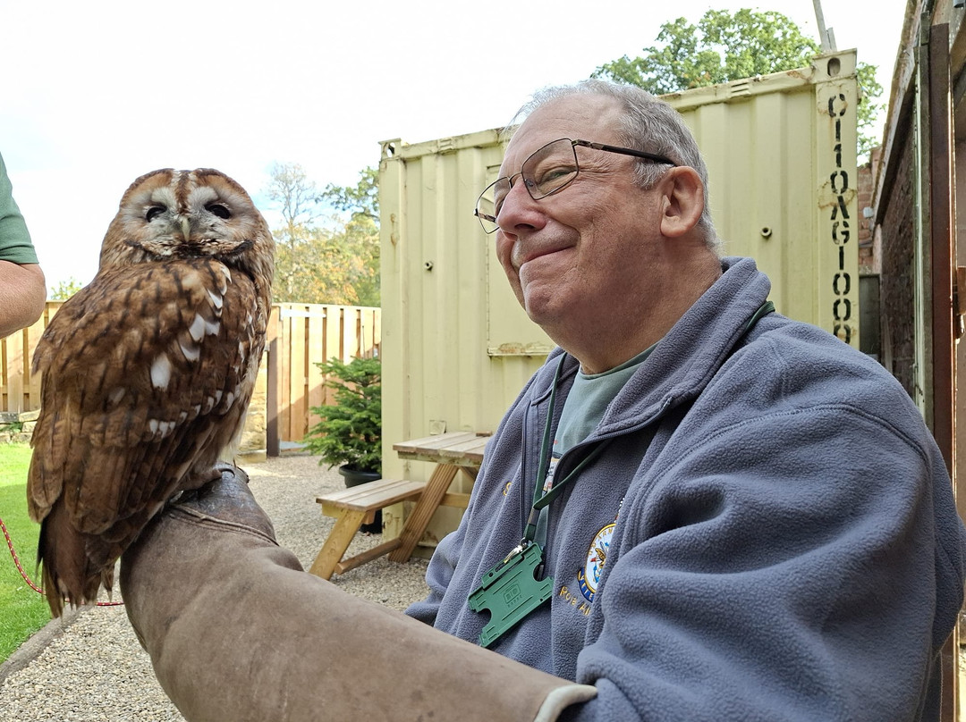 Thirsk Birds Of Prey Centre-瑟斯克必去景点