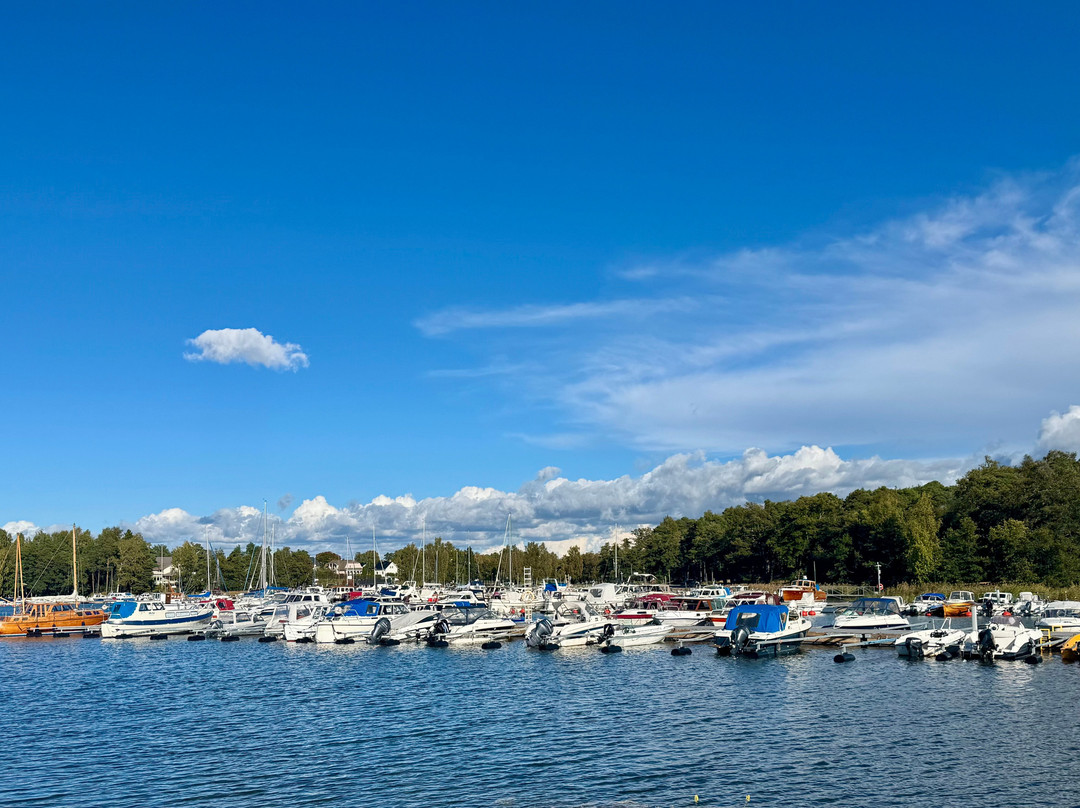 Marina Vista