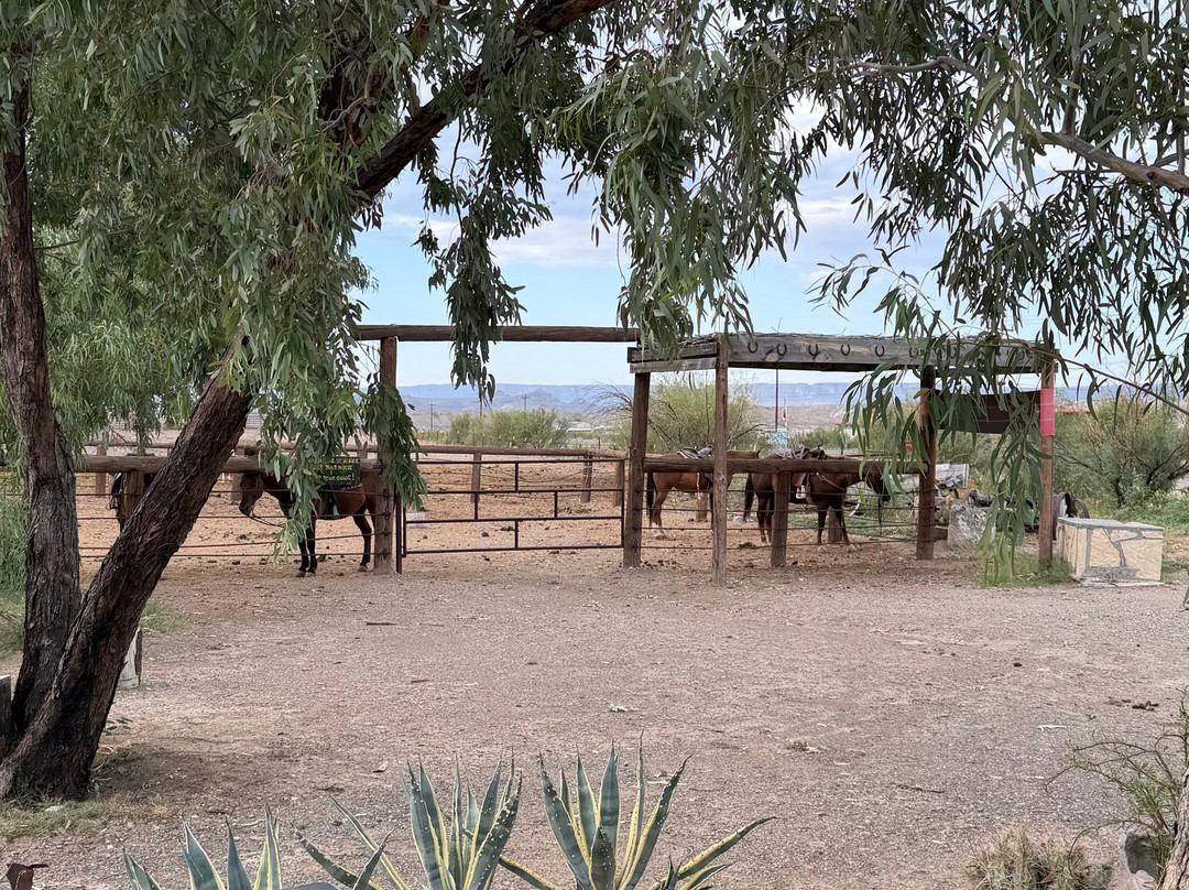 Big Bend & Lajitas Stables-Terlingua必去景点