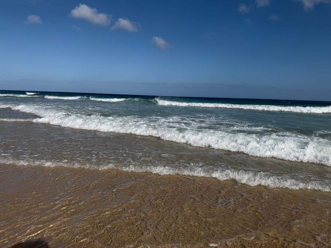Playa de Sotavento de Jandía-Playa de Jandia必去景点