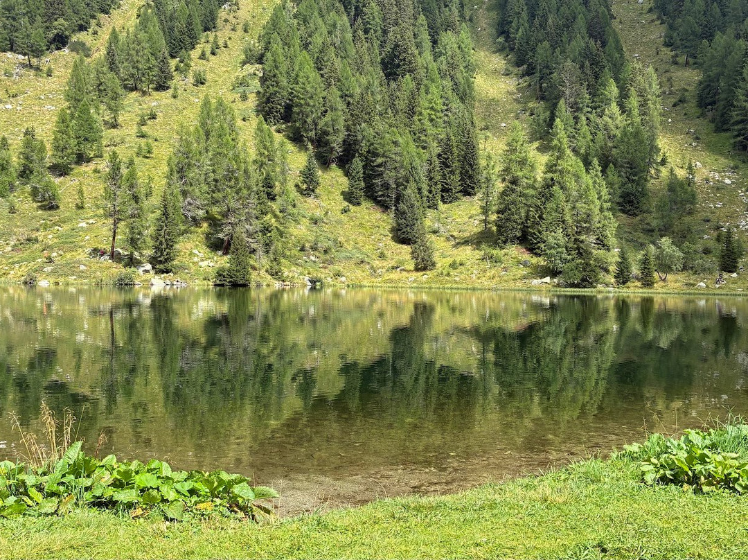 Lago Nambino-马多纳迪坎皮格里奥必去景点