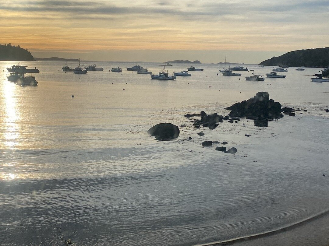 Rakiura Jade-Oban必去景点