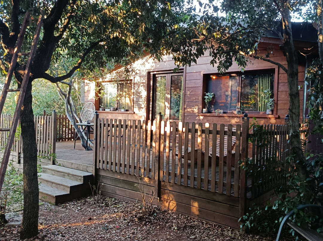 马赛里亚蒙塔纳罗住宿加早餐旅馆主图