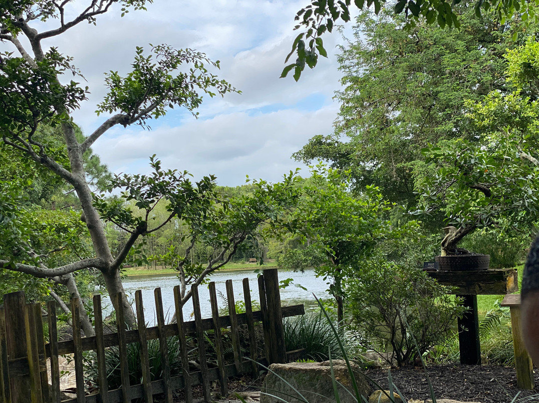 Morikami Museum & Japanese Gardens-德拉海滩必去景点