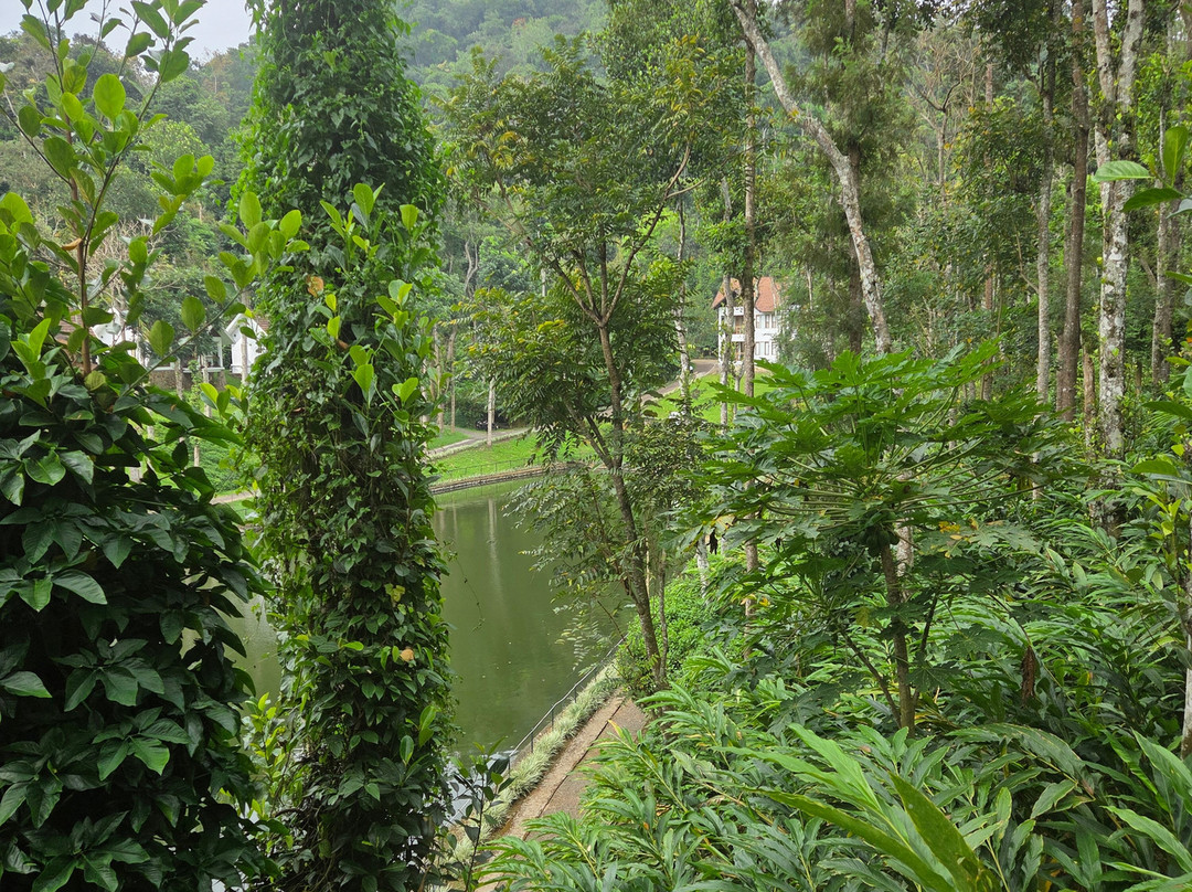 Amaana Plantation Resort主图