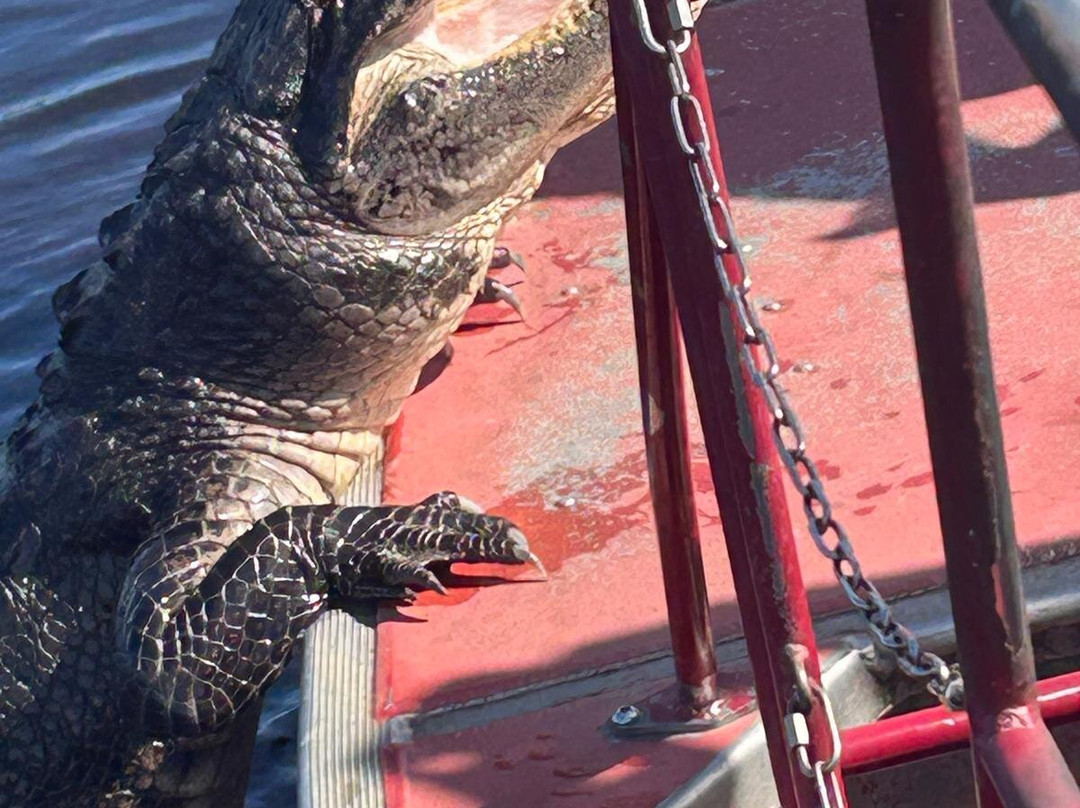 New Orleans Airboat Tours-Marrero必去景点