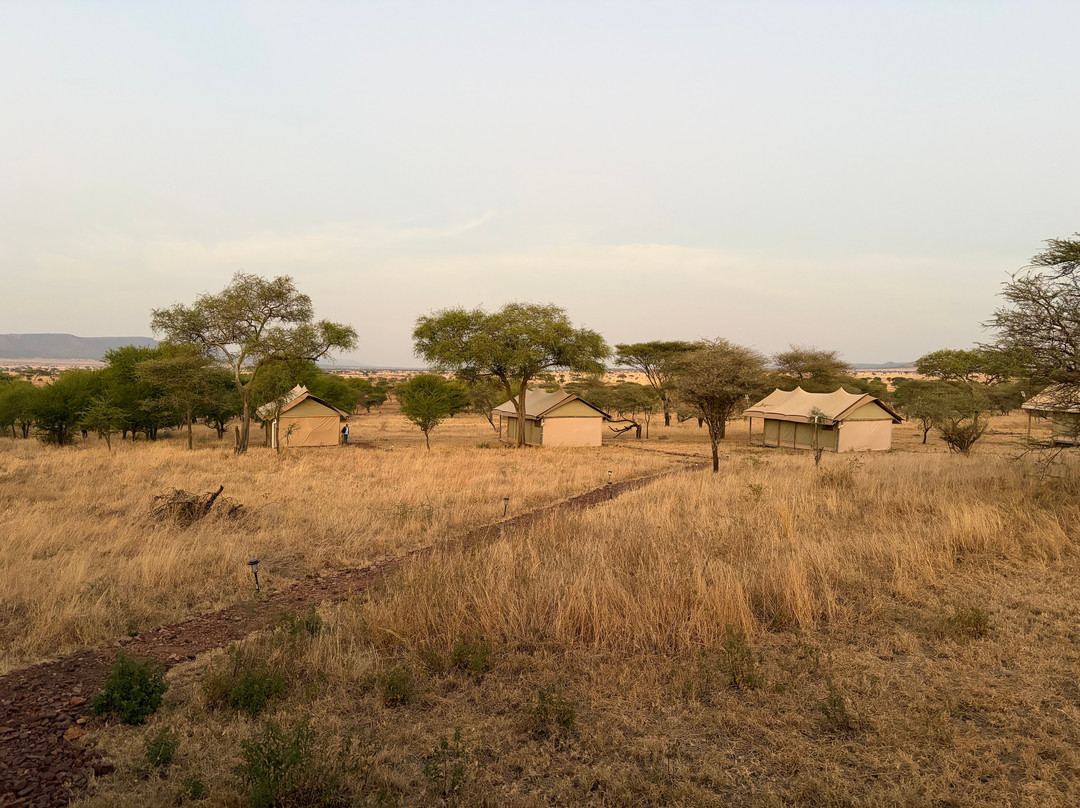 Out in Africa Serengeti Tented Camp