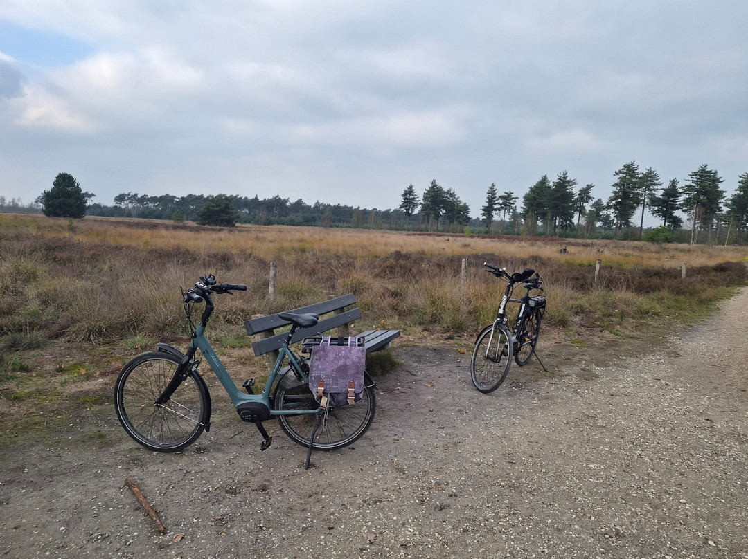 Strabrechtse Heide-Heeze必去景点