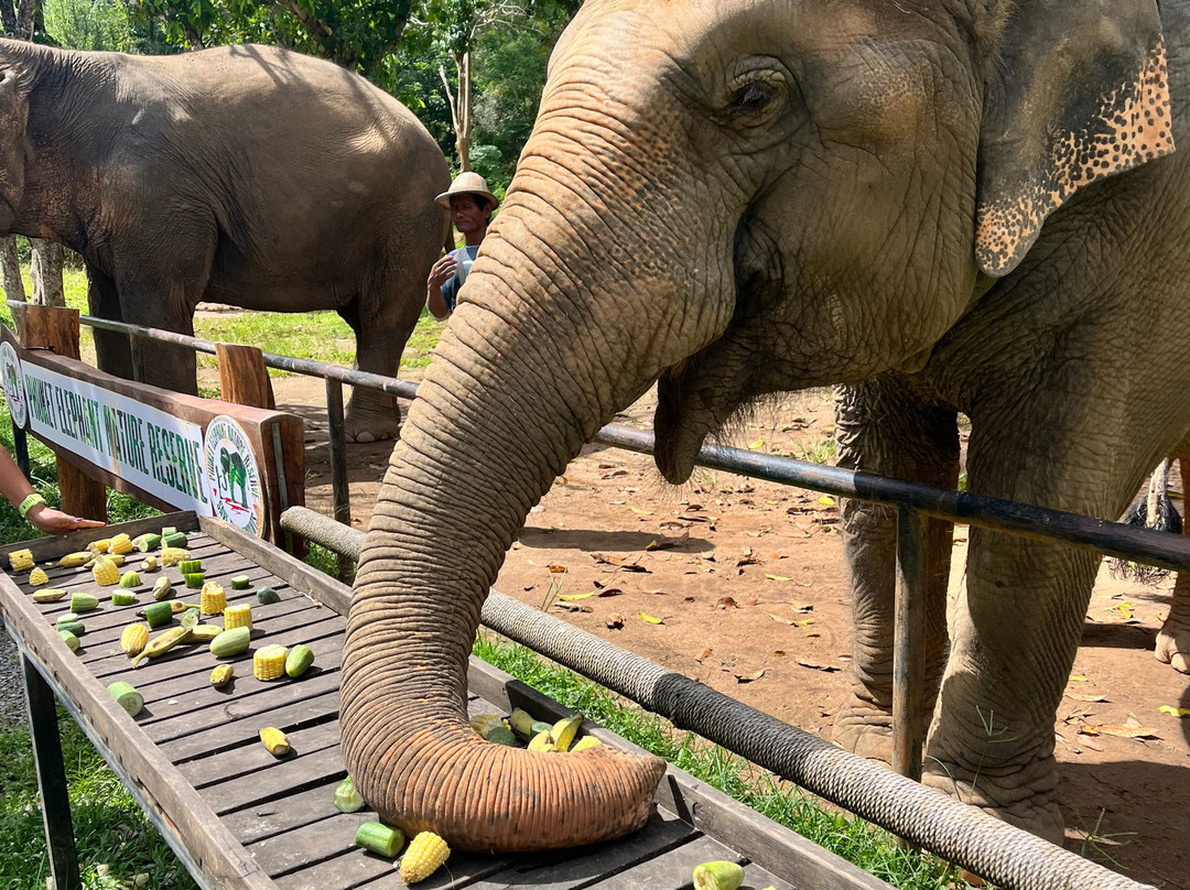 Phuket Elephant Nature Reserve-他朗必去景点