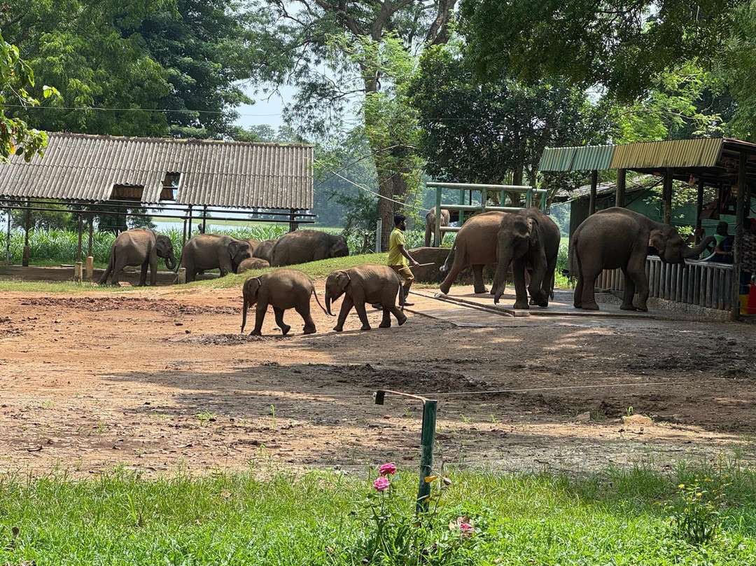 Sri Lanka Day Tours-科伦坡必去景点